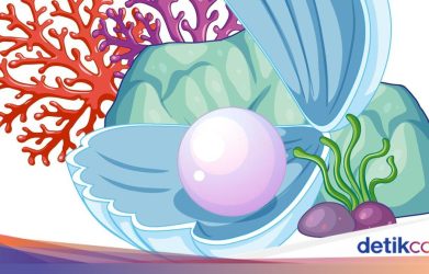 ilustrasi-mutiara-dalam-kerang_169.jpeg